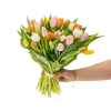 Kytice  tulipánů